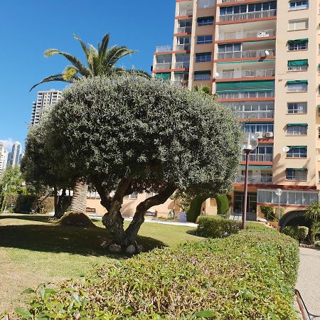 Apartamento En el cielo de Benidorm - Alteanos V Exterior foto