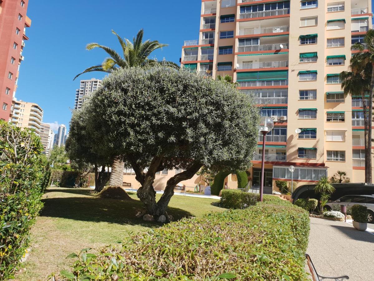 Apartamento En el cielo de Benidorm - Alteanos V Exterior foto